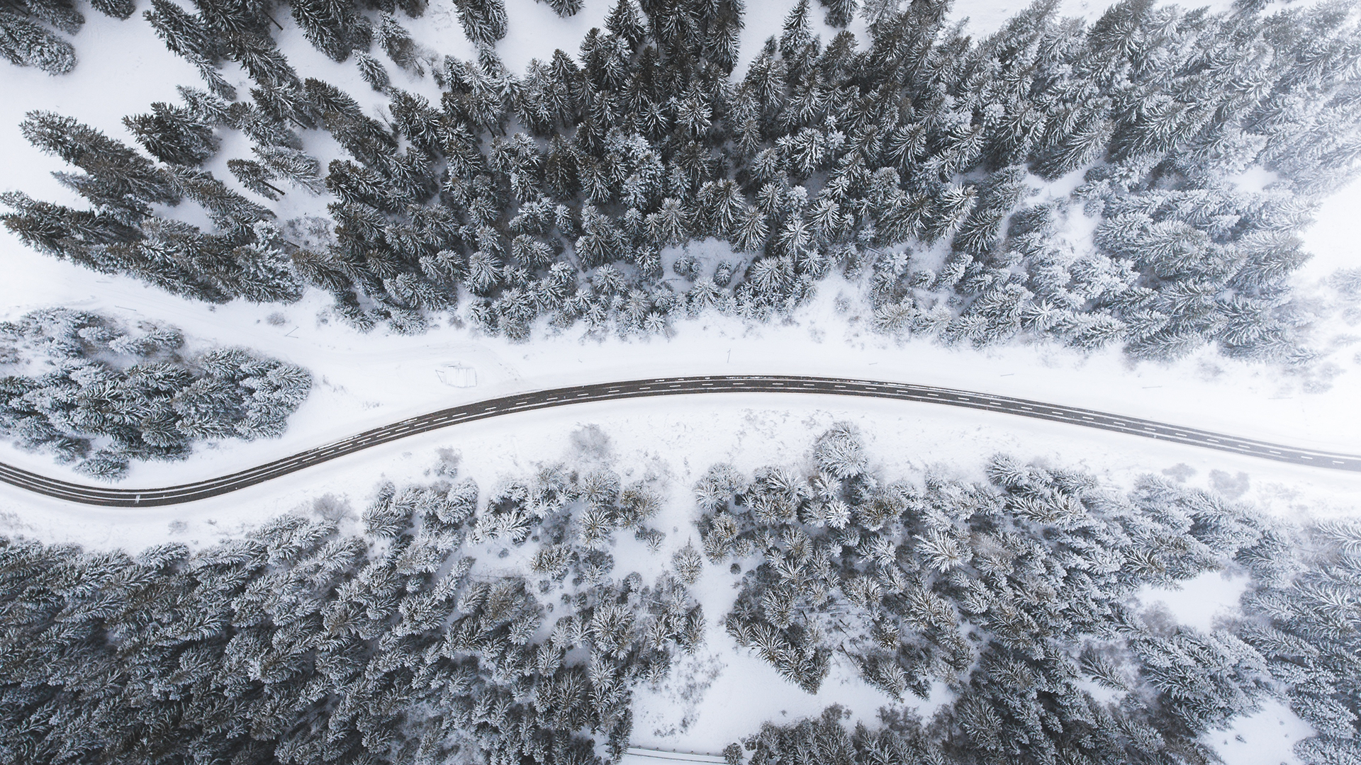 Image 1 image1