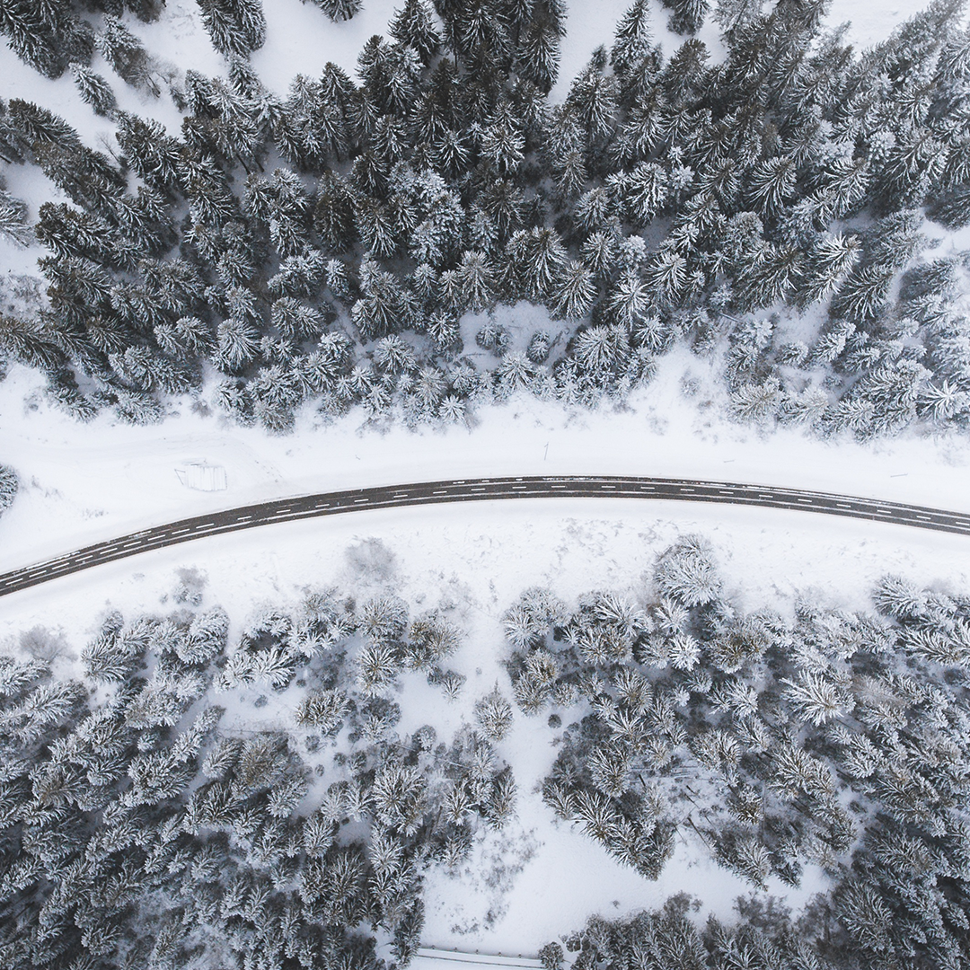 Image 1 image1